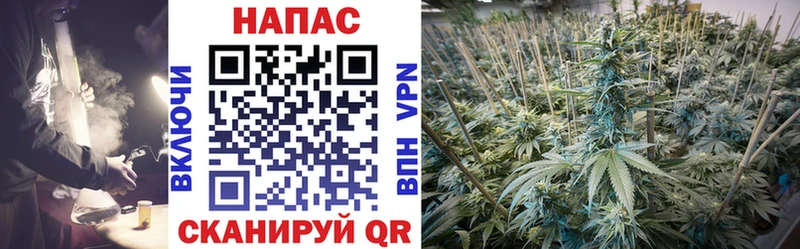 Купить наркоту Липки ГАШИШ  Канабис  Codein  Мефедрон  COCAIN  Alpha PVP 