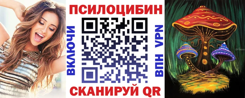 наркошоп  Липки  Галлюциногенные грибы Psilocybine cubensis 